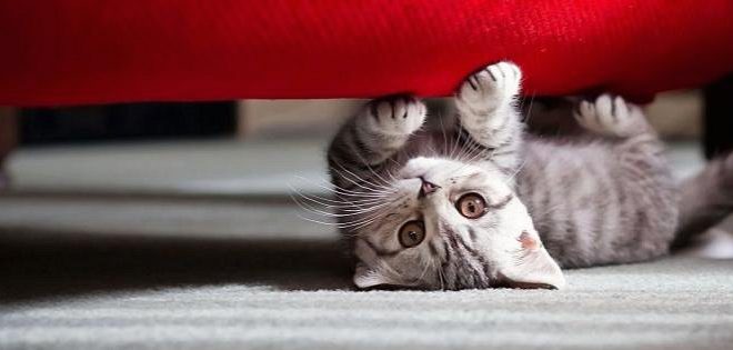 Công ty Công nghệ và Tư vấn Doanh nghiệp INNOCOM