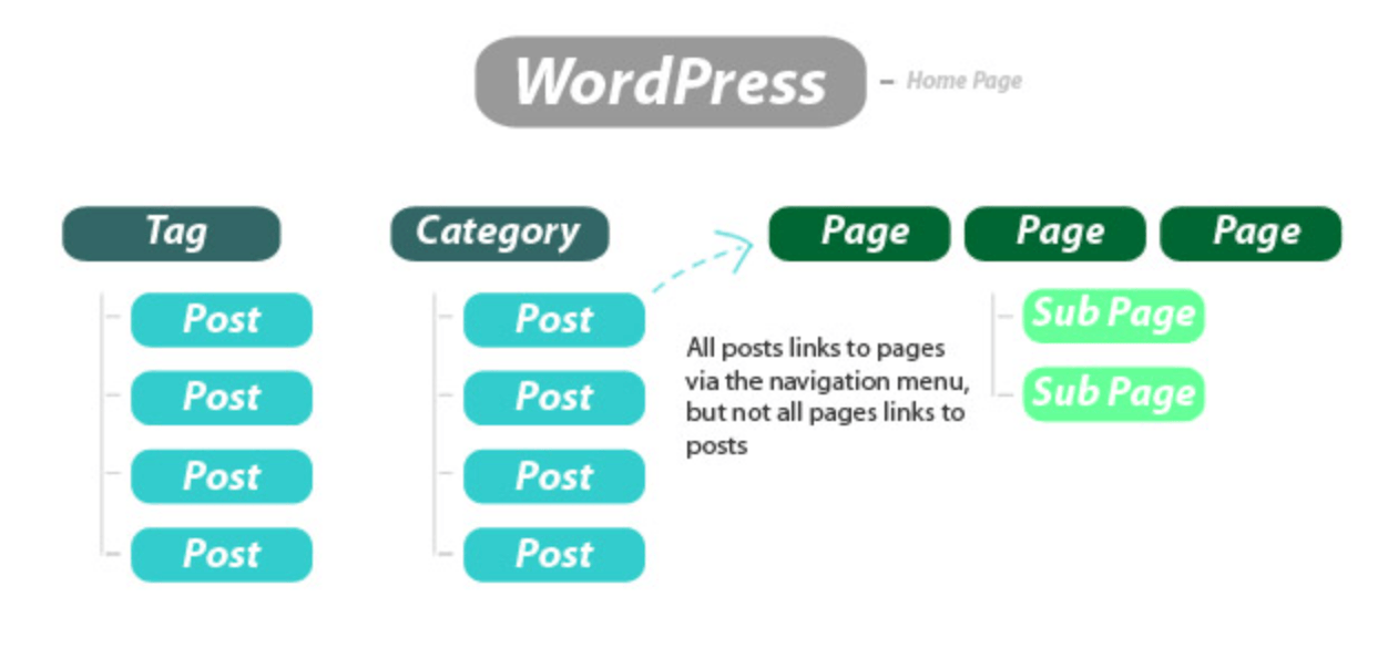 Categories posting. Wp_Posts WORDPRESS. WORDPRESS Pages. Post Page. Homepage-app-Page WORDPRESS.